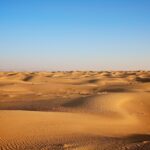 Question and Answers About Famous Deserts Around the World