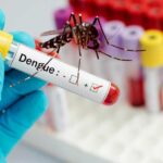 dengue fever and its main causes you need to know