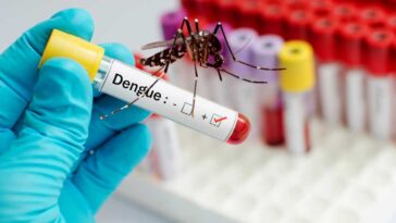 dengue fever and its main causes you need to know