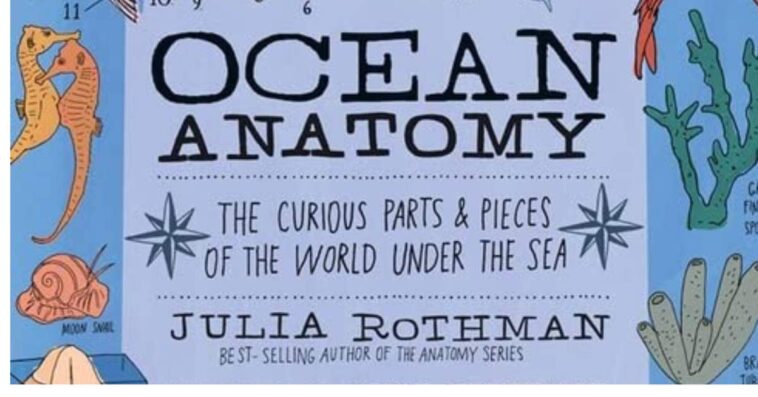 Dive into a Fascinating Underwater World with "Ocean Anatomy: The Curious Parts & Pieces of the World under the Sea"