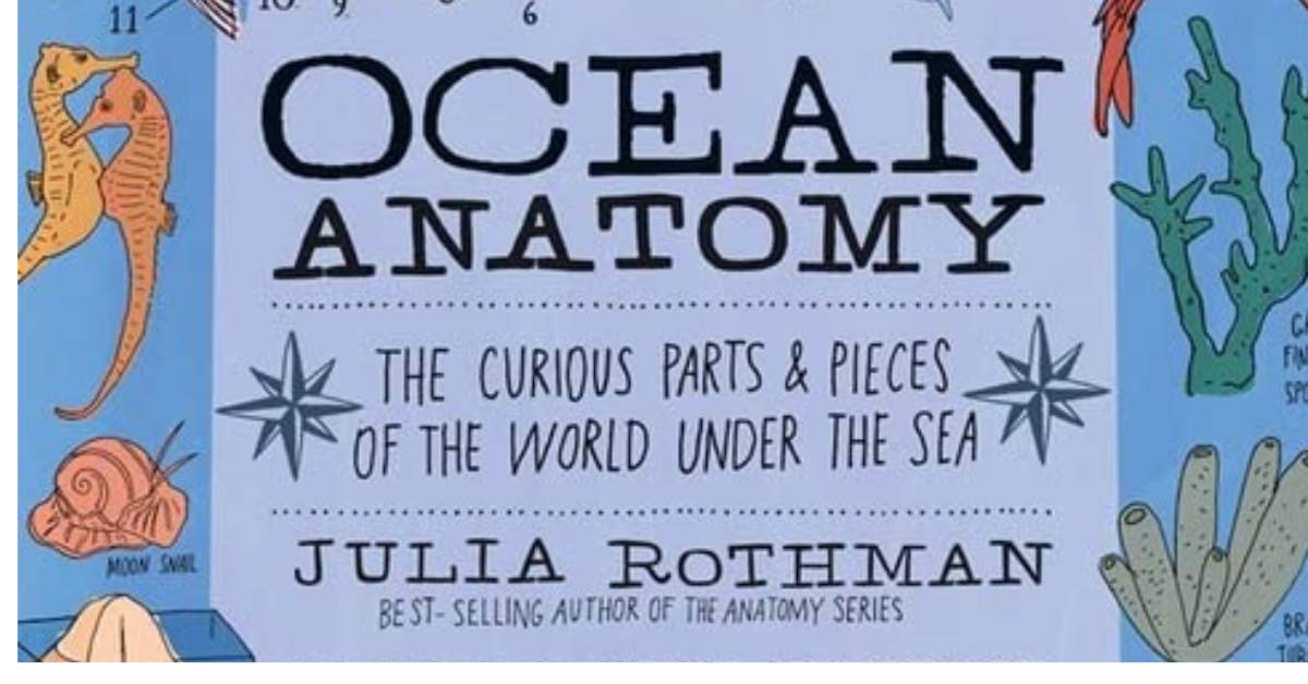 Dive into a Fascinating Underwater World with "Ocean Anatomy